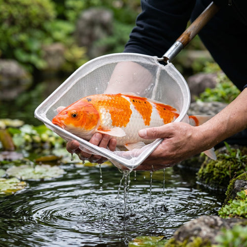 24" Soft-Mesh Koi Show Net — in use